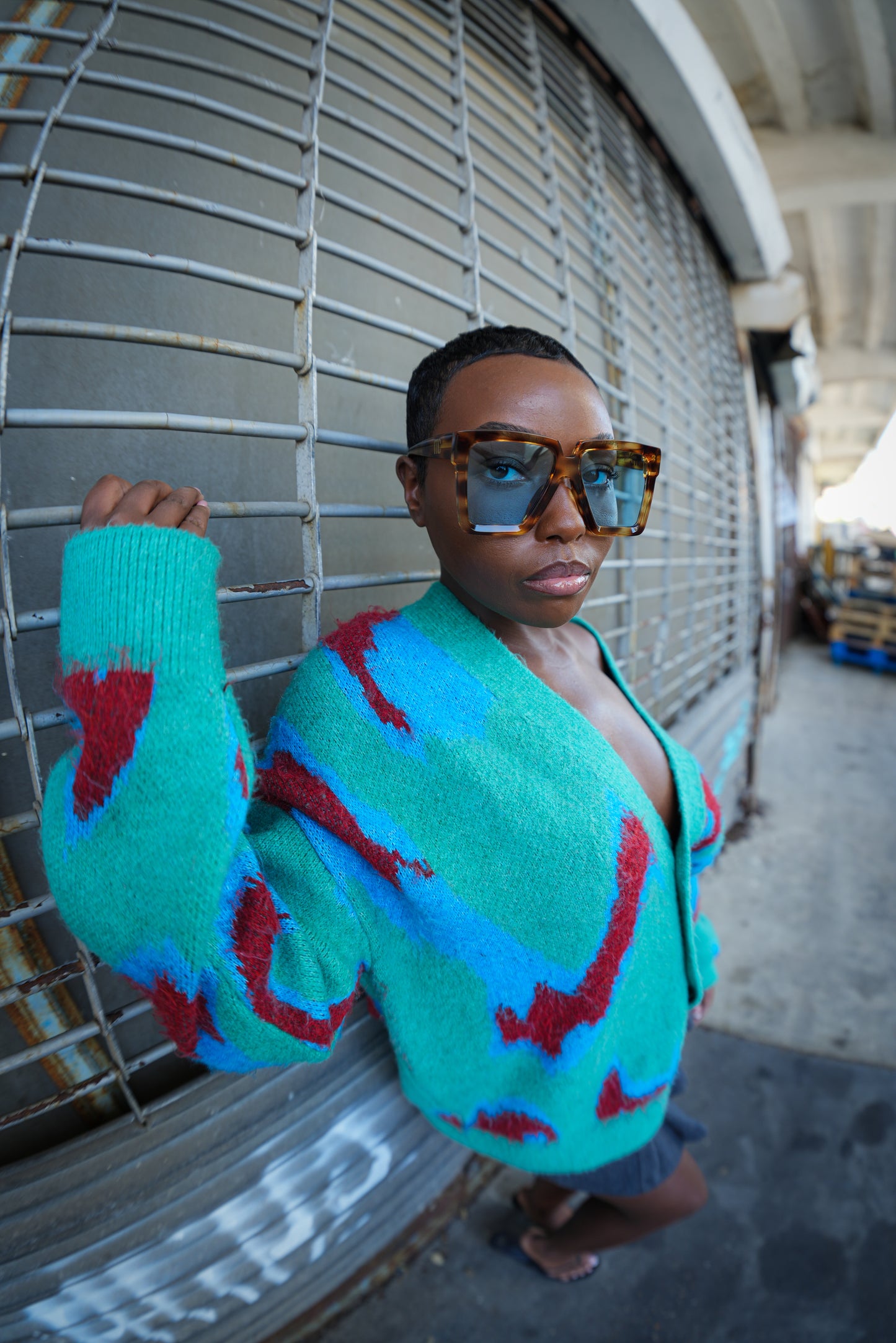 Nova Tortoiseshell Frame